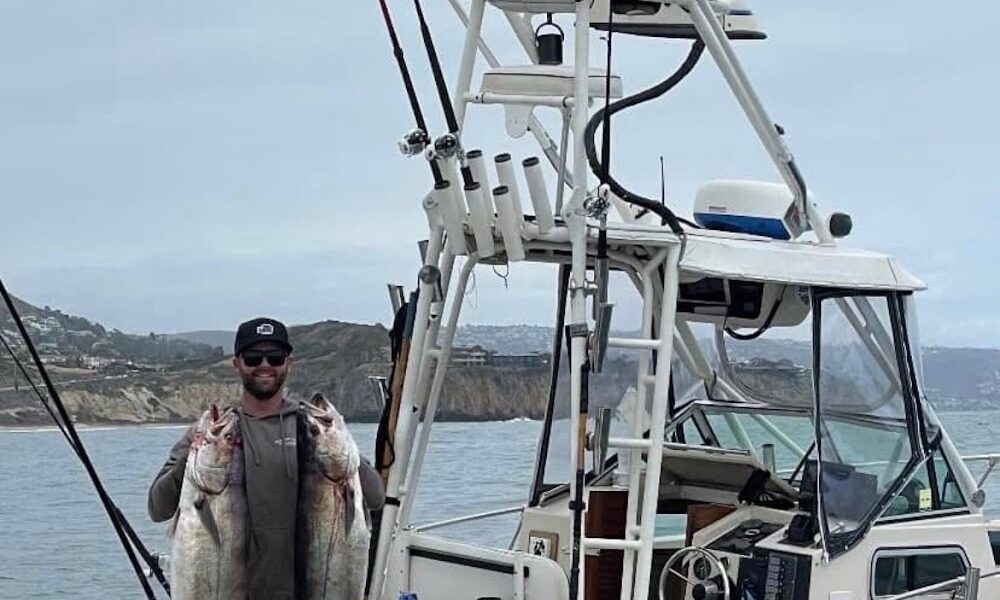 Pacific Whale Tours Dana Point